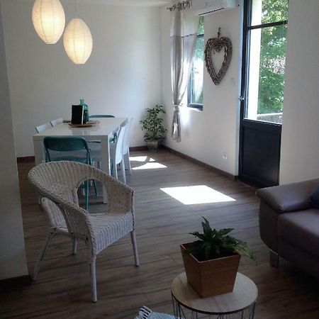 Au Vieux Lavoir Avec Parking Prive, Jardin , Climatisation, A 500 M De La Cite Carcassonne Eksteriør billede