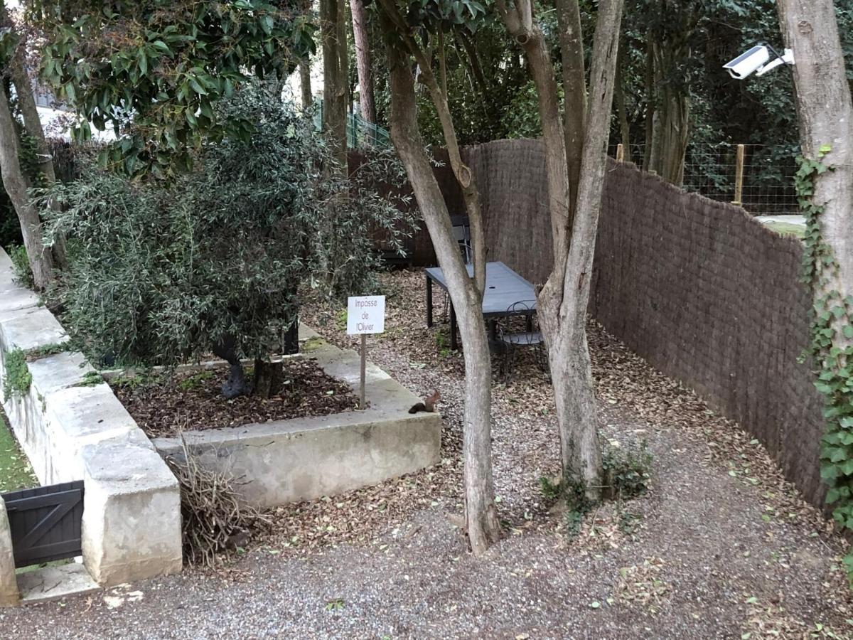 Au Vieux Lavoir Avec Parking Prive, Jardin , Climatisation, A 500 M De La Cite Carcassonne Eksteriør billede