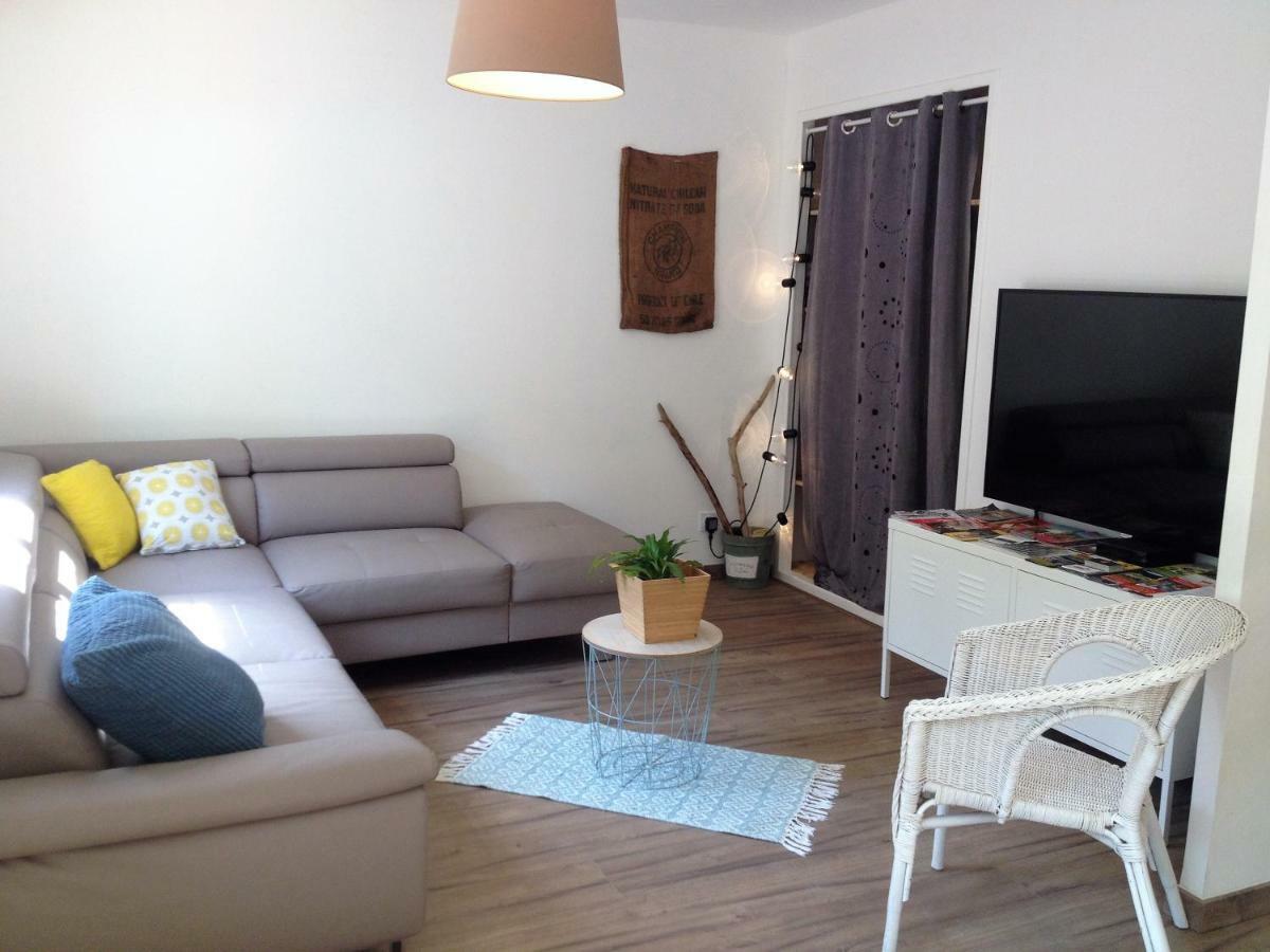 Au Vieux Lavoir Avec Parking Prive, Jardin , Climatisation, A 500 M De La Cite Carcassonne Eksteriør billede
