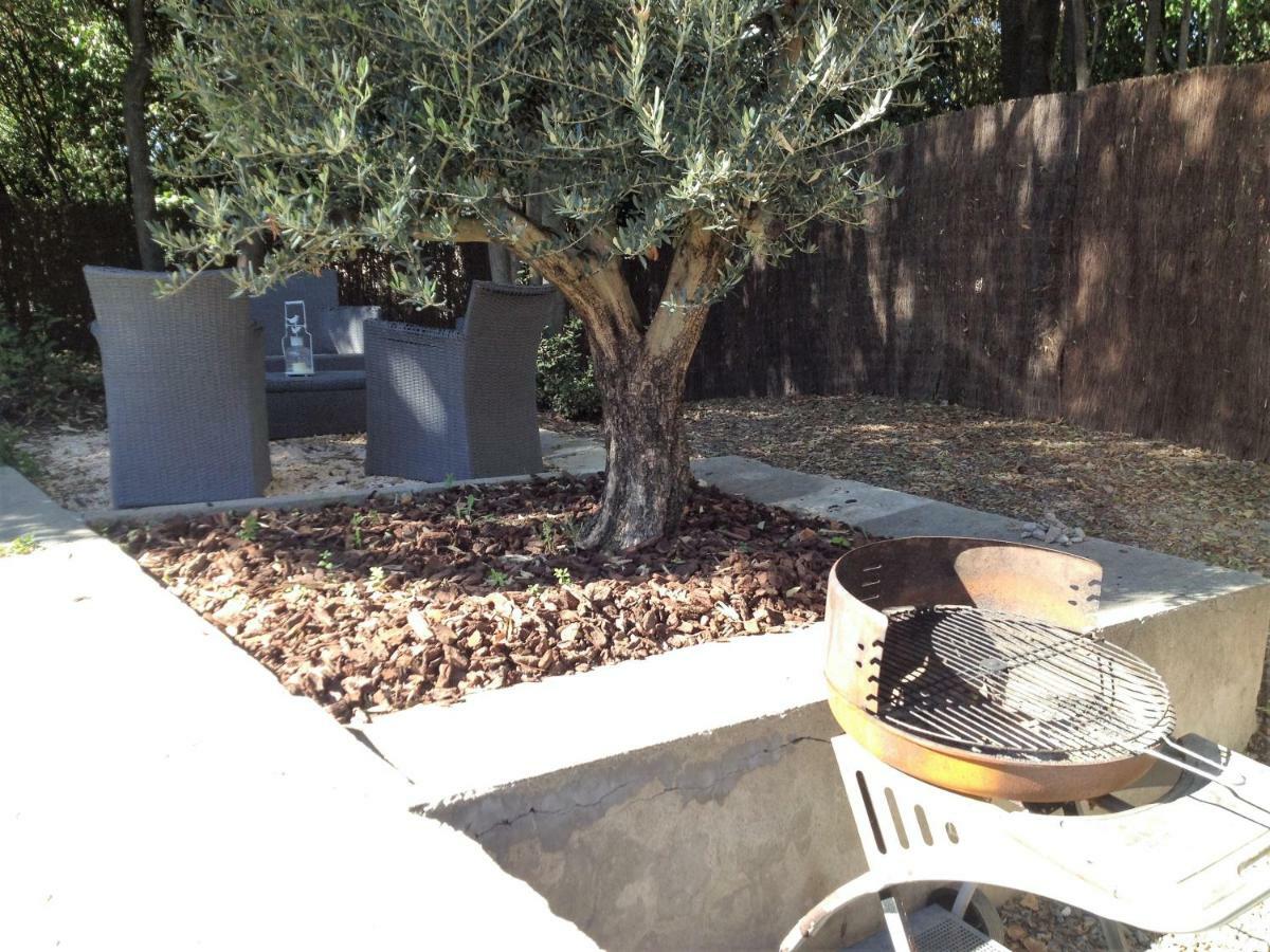 Au Vieux Lavoir Avec Parking Prive, Jardin , Climatisation, A 500 M De La Cite Carcassonne Eksteriør billede