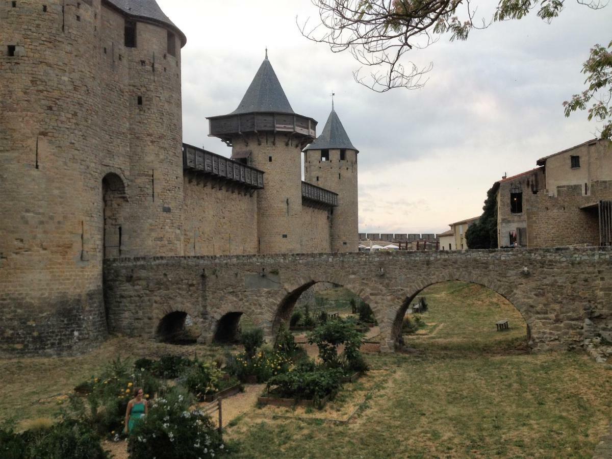 Au Vieux Lavoir Avec Parking Prive, Jardin , Climatisation, A 500 M De La Cite Carcassonne Eksteriør billede