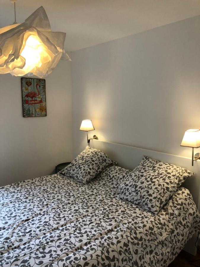 Au Vieux Lavoir Avec Parking Prive, Jardin , Climatisation, A 500 M De La Cite Carcassonne Eksteriør billede
