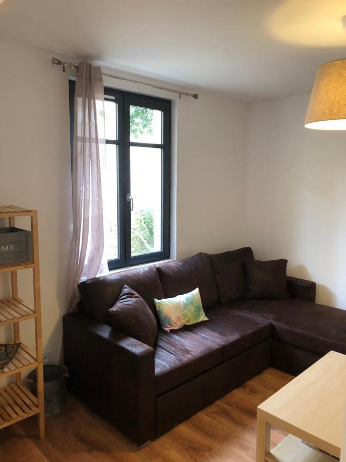 Au Vieux Lavoir Avec Parking Prive, Jardin , Climatisation, A 500 M De La Cite Carcassonne Eksteriør billede